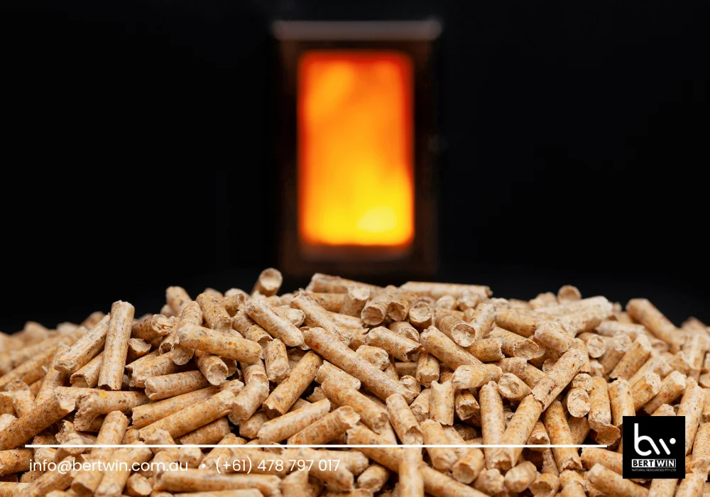 fireplaces wood pellet heater