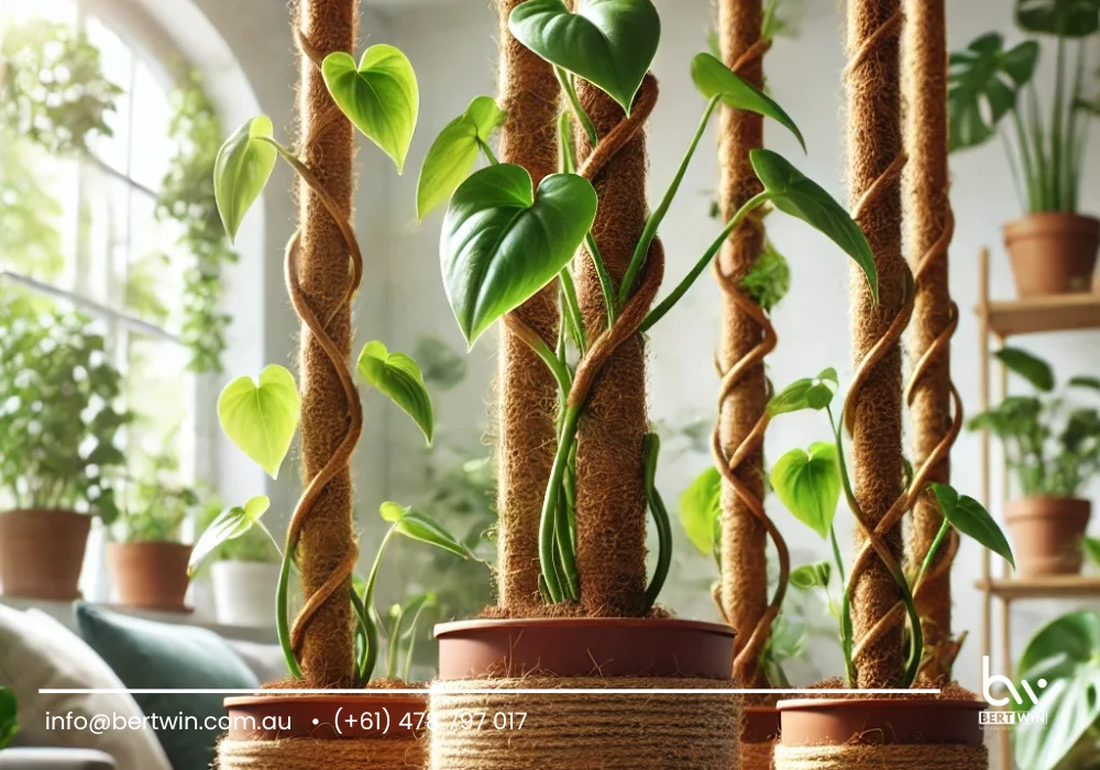 coconut poles for plants