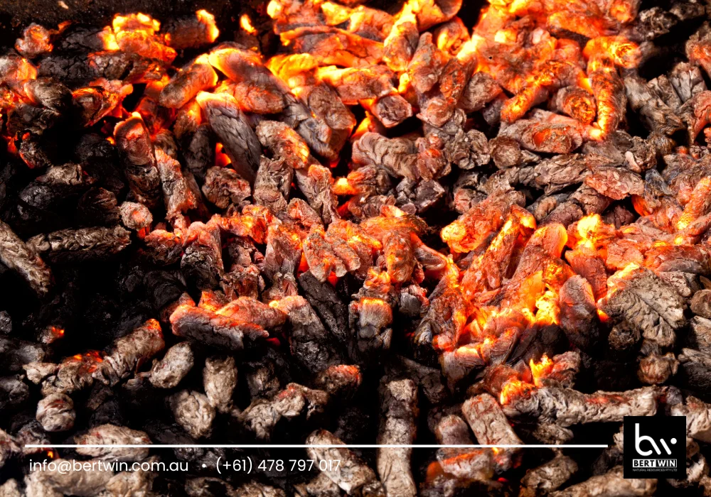 barbeques galore wood pellet