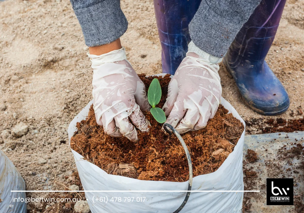 coco peat organic fertilizer