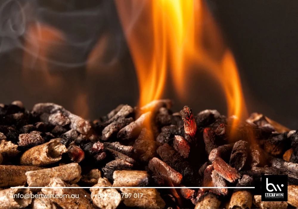 bbqs and outdoor wood pellet